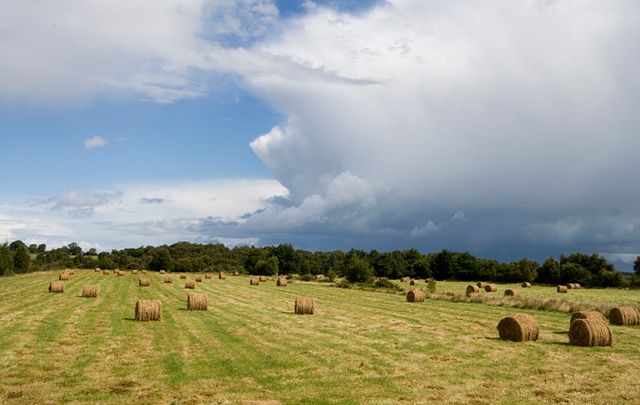 Hay bales in County Longford 