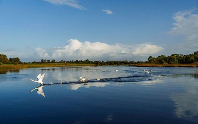Lough Ree in County Longford 