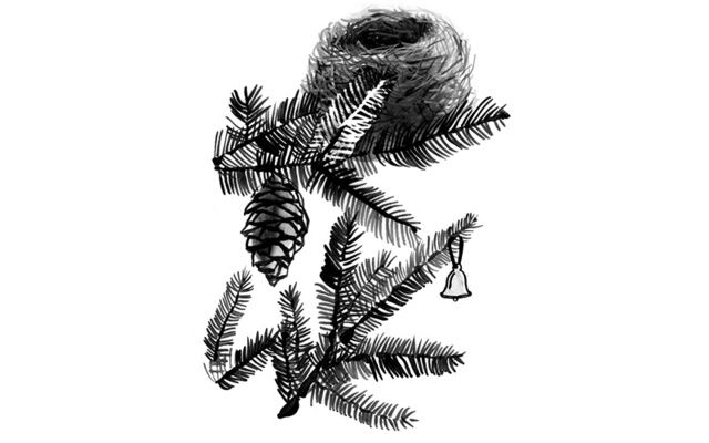 A small story about a small tree and a nest of robins last spring, and about a Clare countrywoman with a good earthy sense of humor a month or so before that. It is also a yarn about the mysteries of life.