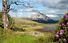 Donegal named coolest place in the world by National Geographic