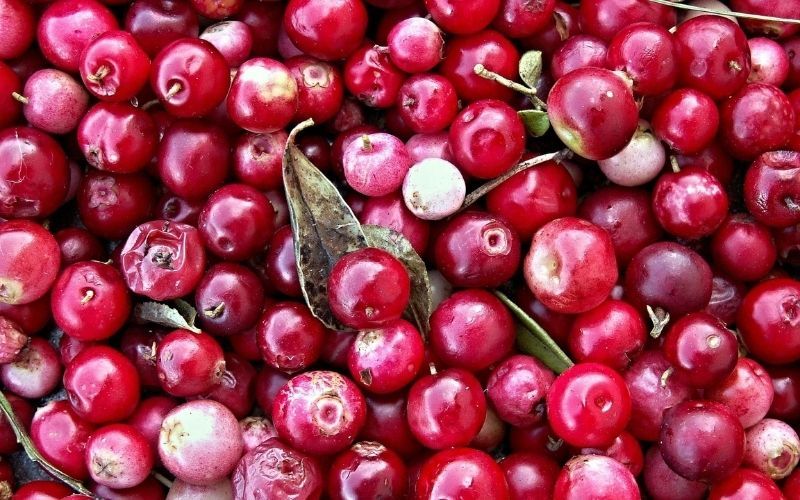 Three delicious cranberry recipes