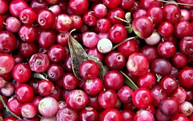 Try this great cranberry alternative for your pudding this year. 