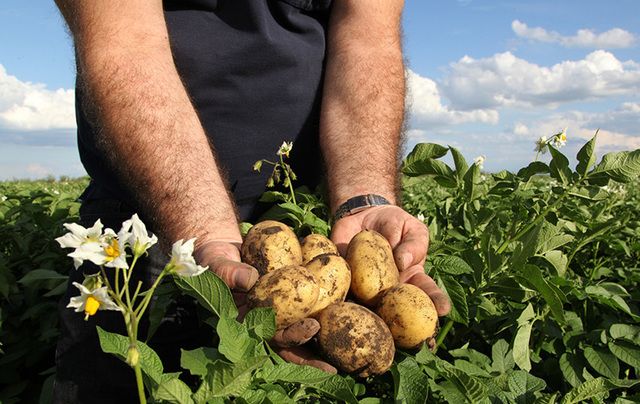 “The potato crop has been part of the Irish journey and we want to help it to be part of the Kenyan journey going forward.”