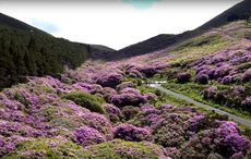 WATCH: Colorful and wild fabulous drone footage of Co Tipperary