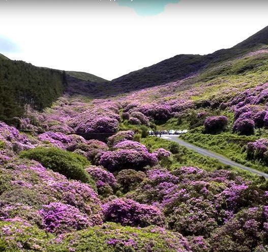 WATCH: Colorful and wild fabulous drone footage of Co Tipperary