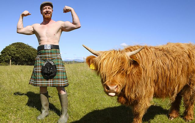 Irish naked farmer hanging with a cow. 