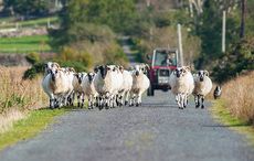 Hundreds of family farms in Ireland at risk from “Vulture Funds”