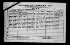 Remarkable life stories from my grandmother's family in post-Famine Ireland