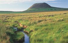 Did you know about St. Patrick’s random acts of kindness?