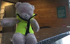 Teddy bear lost in Cork Airport reunited with two-year-old owner