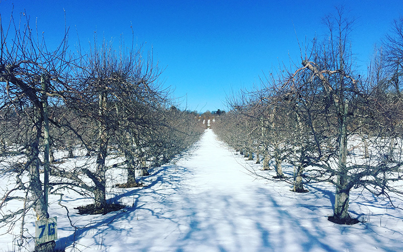 The importance of taking a break from life