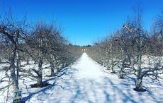 The importance of taking a break from life