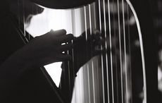 Irish traditional musicians to host sessions for civil rights across US