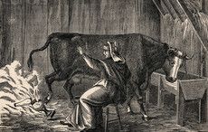 An Irishwoman was blamed for starting the Great Chicago Fire 