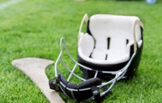 Irish government announces donation of 11 acres to Atlanta GAA