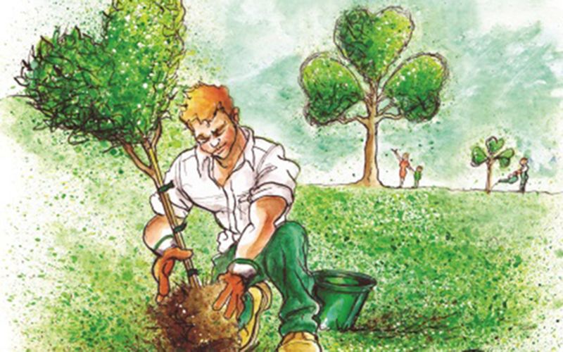 Replant your Irish roots this St. Patrick's Day