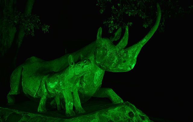 Rhino statues (Kyela and Lankeu), Nairobi National Park, join Tourism Ireland\'s Global Greening.