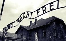 Nazi death camps held 50 Irish it has been revealed, only 28 survived