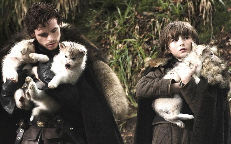 Animal stars of 'Game of Thrones' save Northern Ireland farm