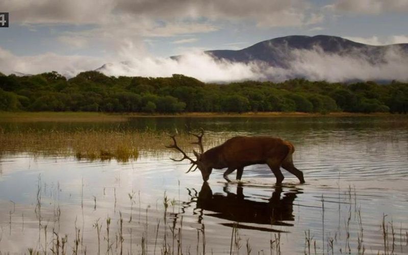 Did you know there was an Irish version of Planet Earth?