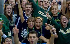 Irish America could  die off within a generation or two without action