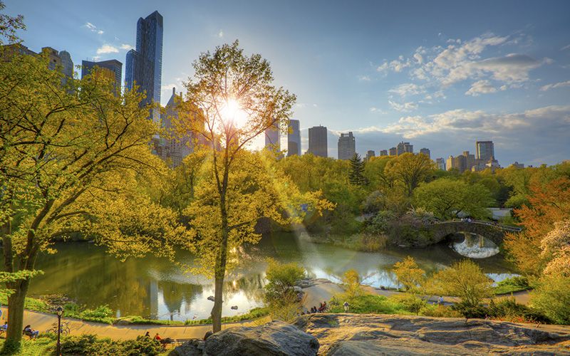 Embracing the New York summer sun and allergies