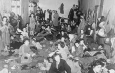 Irish priest remembers role in Bergen-Belsen concentration camp liberation