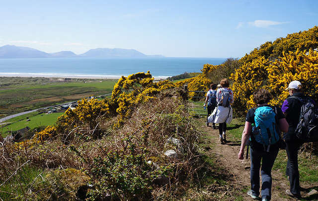 Walking in the steps of Saint Brendan the Navigator, along the Kerry Camino.