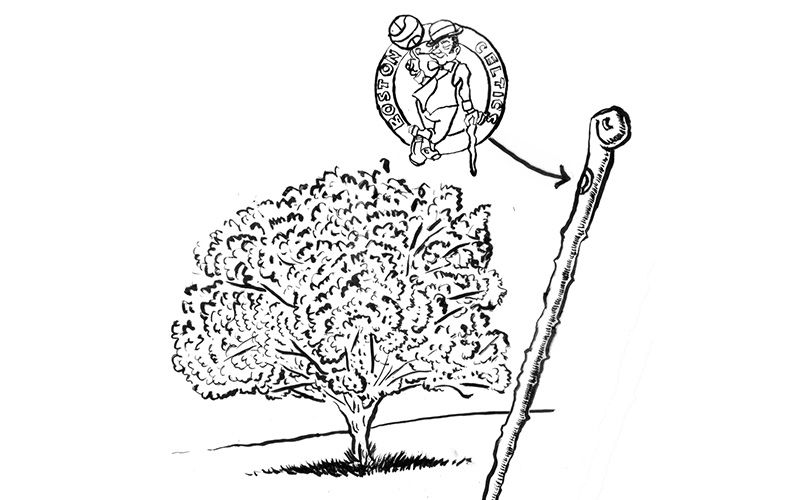 Good news Boston Celtic fans - blackthorn ensures victory