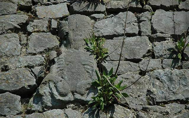 Sheela na Gig carving on town wall in Fethard, County Tipperary, Ireland.\n