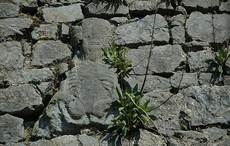 Ancient Sheela na Gigs, Irish statues of women exposing themselves, explained