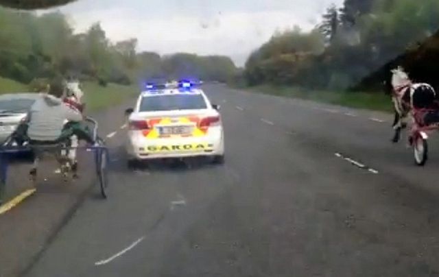 Illegal horse and cart race in Ireland. 