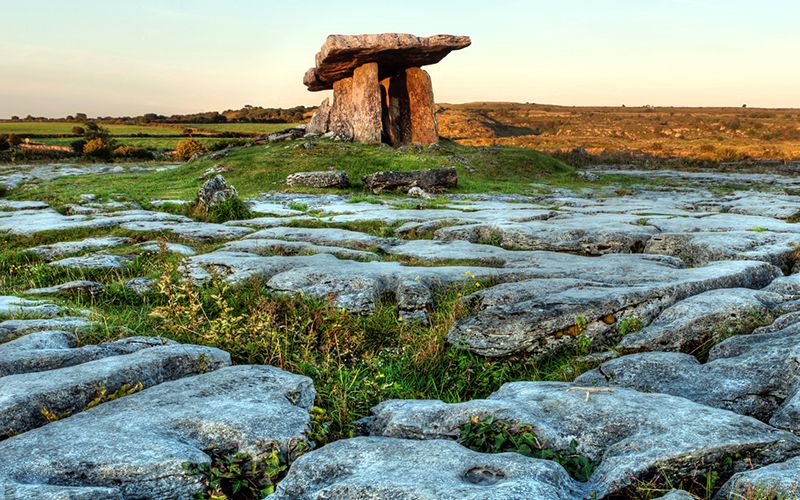 Burren geologist uncovers 320-million-year-old shark tooth