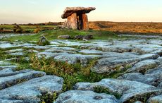 Burren geologist uncovers 320-million-year-old shark tooth