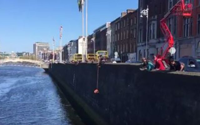 Two passersby save a cat from Dublin\'s River Liffey. 