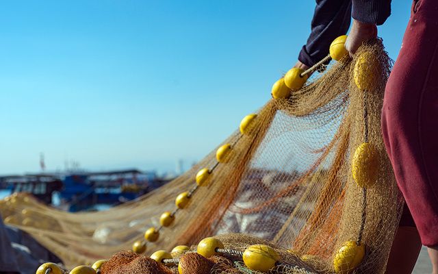 A fisherman pulling a net. 