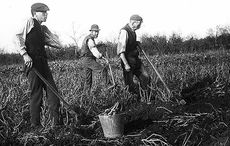 What life was like for the sons and daughters of the Great Irish Famine