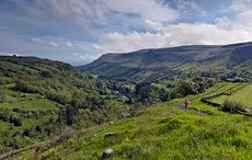 Get ready for St. Patrick’s Day and invest in a special plot of land in Ireland