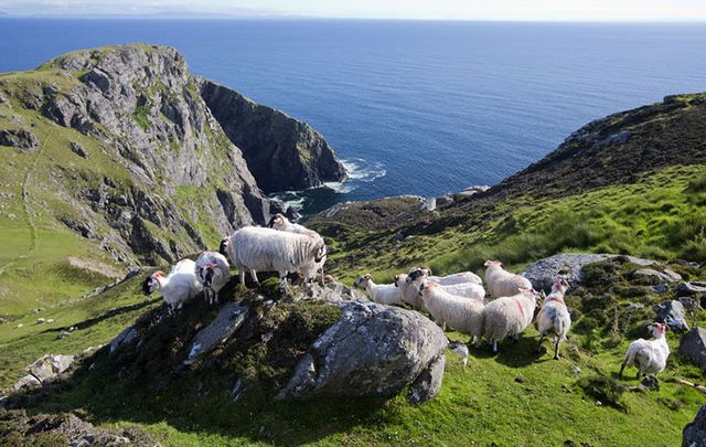 Slieve League Peninsula, County Donegal.