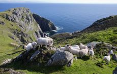 A magical hidden gem I discovered in Donegal (PHOTOS)