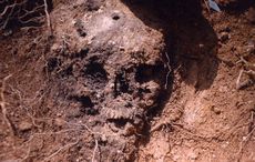 Dig at Duffy’s Cut to recover 50 Irish cholera and murder victims resumes