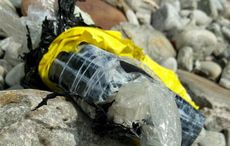 US tourist finds $56,000 worth of cocaine on Irish beach