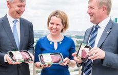 Irish company secures permission to export real Irish beef to US