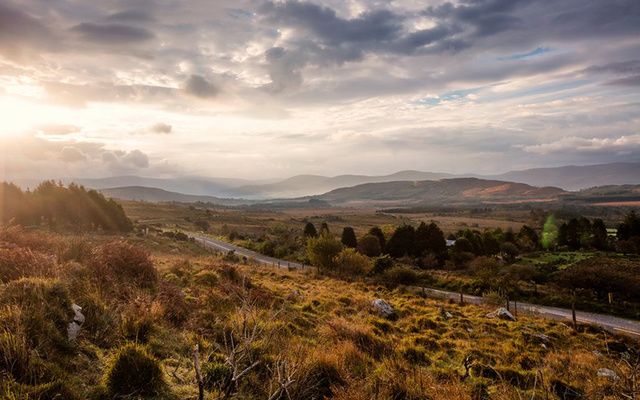 The road to Kenmare. 