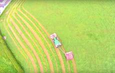 WATCH: Aerial view of Irish farmers mowing land is truly mesmerizing