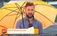 Watch as Irish weatherman literally blown away (VIDEO)