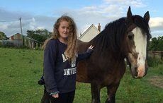 At age 12, I left behind everything I knew in Northern Ireland and emigrated to New York