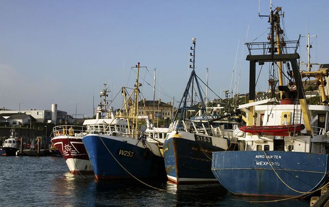 Fishing trawlers in the harbour at Dunmore East, Waterford. 
