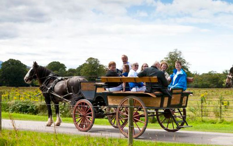 Killarney is becoming Ireland’s Florida - a haven for retirees