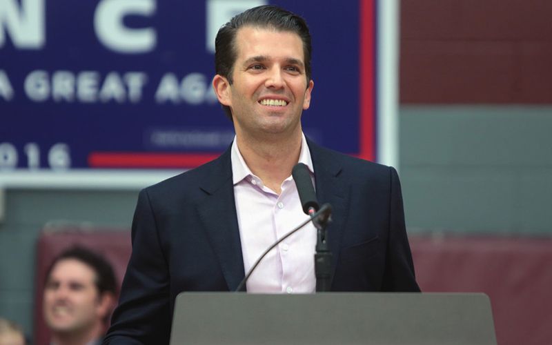 Donald Trump Jr could have learned about the Russians from Michael Collins